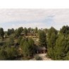 Slow Life Camping Venta del Moro