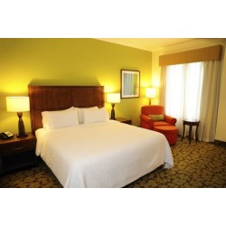 Hilton Garden Inn Panama