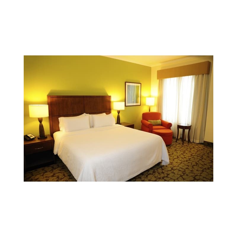 Hilton Garden Inn Panama