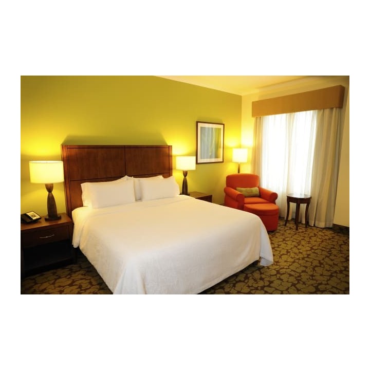 Hilton Garden Inn Panama