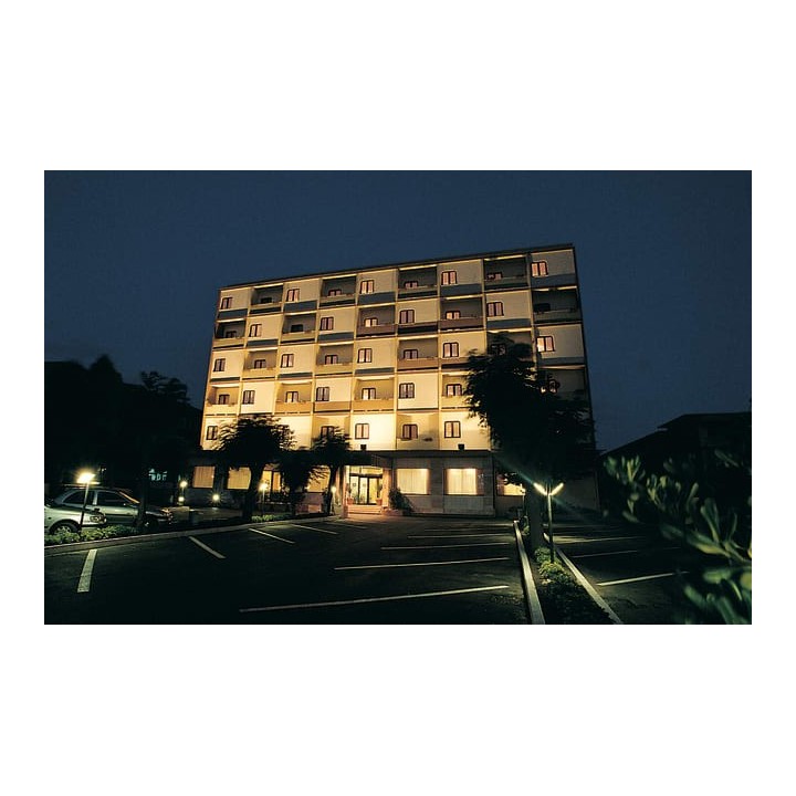 Hotel Europa Palace
