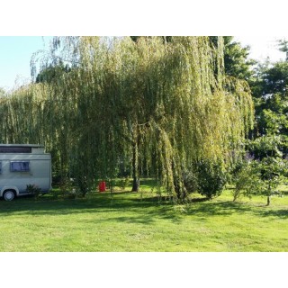 Camping du Chêne