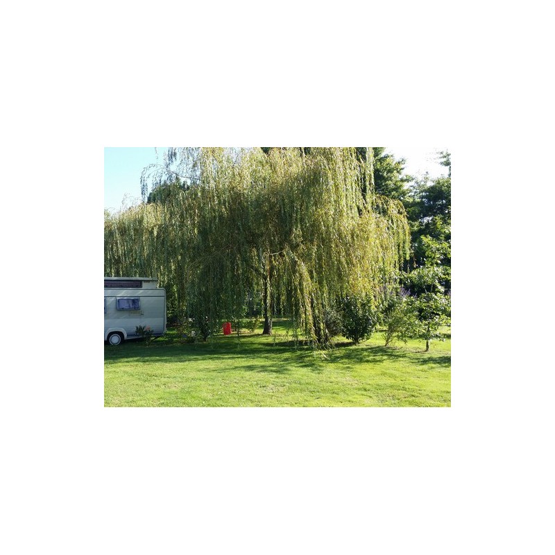 Camping du Chêne