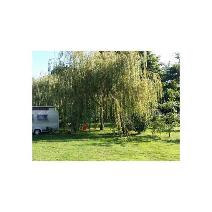 Camping du Chêne