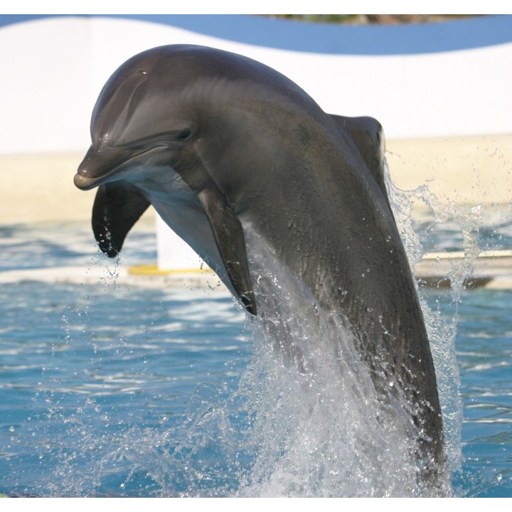 Marineland Resort