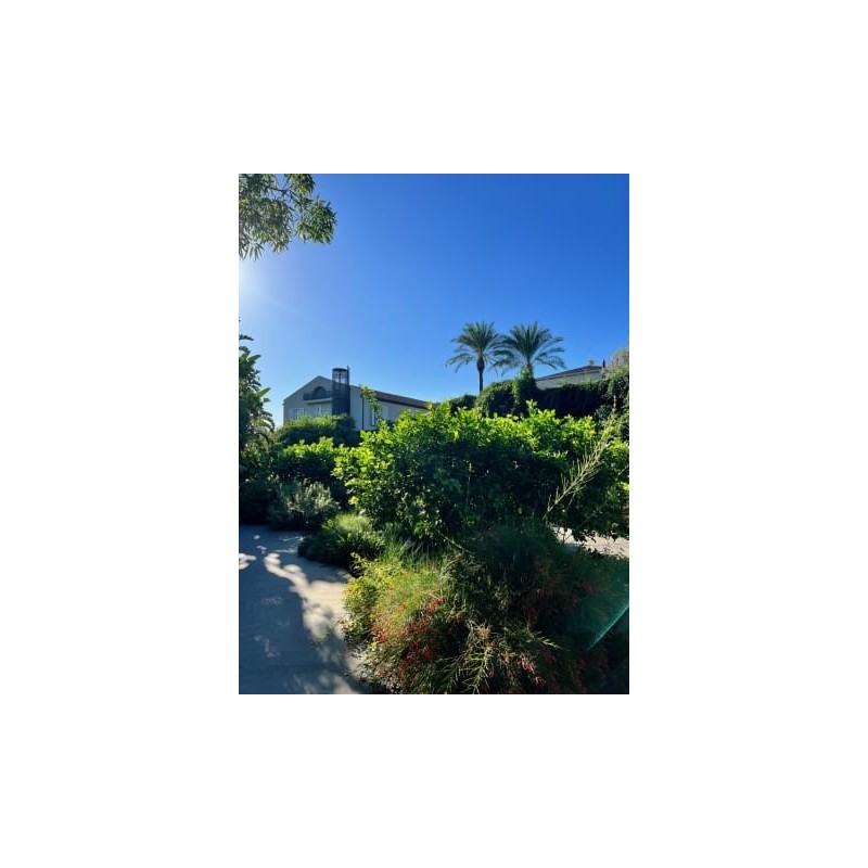 Hotel Donna Carmela