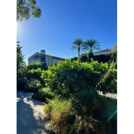 Hotel Donna Carmela