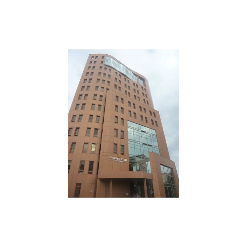 Hotel Golden Tulip Ana Tower
