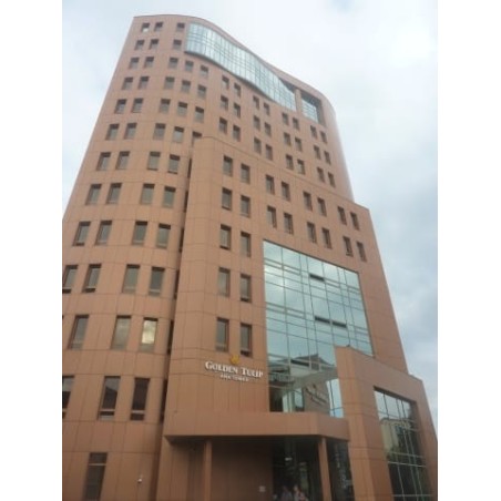 Hotel Golden Tulip Ana Tower