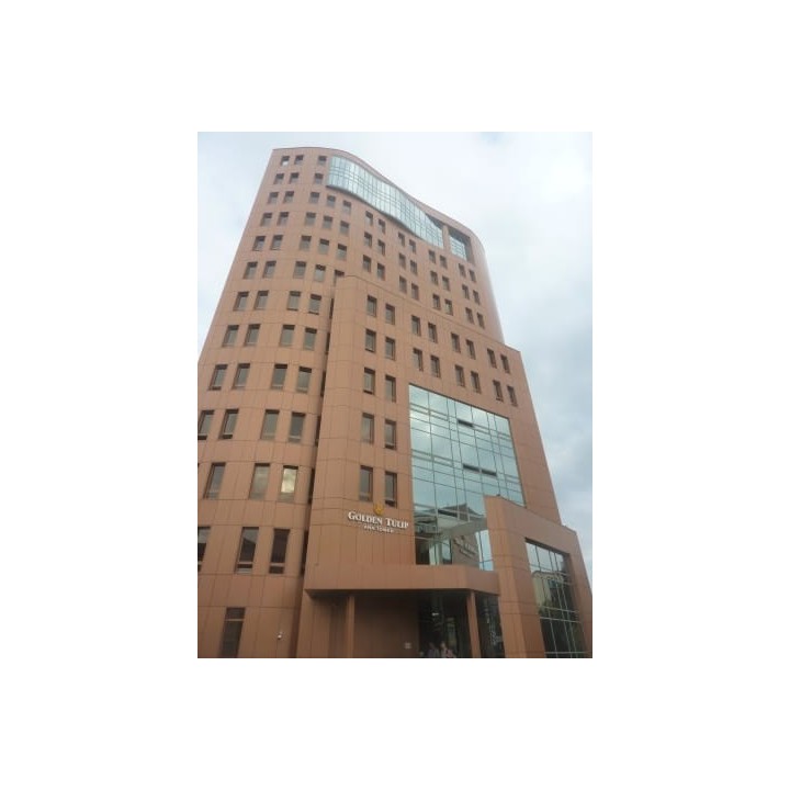 Hotel Golden Tulip Ana Tower