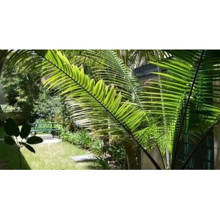 Avonmore On The Park Boutique Hotel