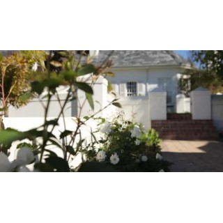 Wild Mushroom Boutique Hotel