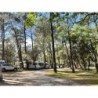 Camping La Simioune