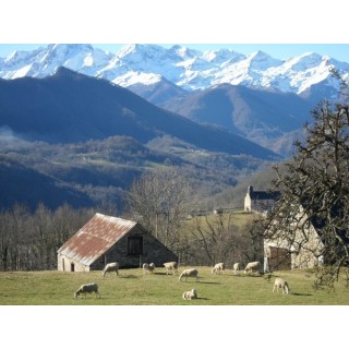 Camping Le Haut Salat