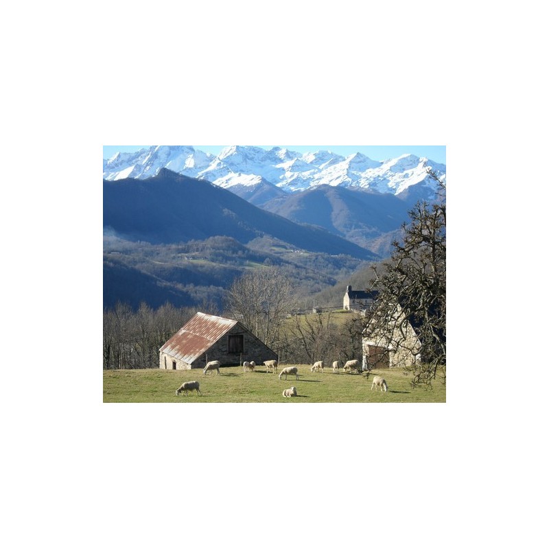 Camping Le Haut Salat