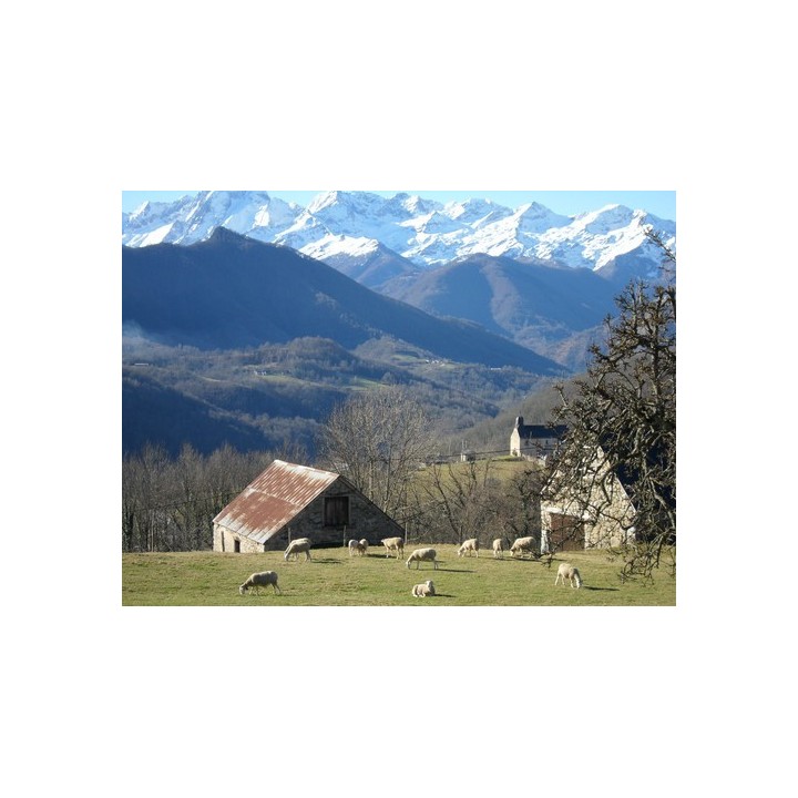 Camping Le Haut Salat