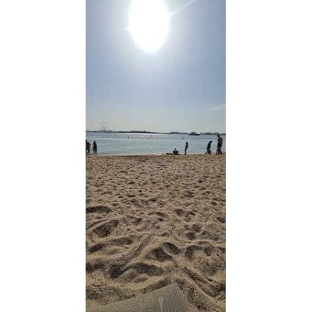 Adagio Premium The Palm