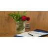 Boardinghouse Landshut