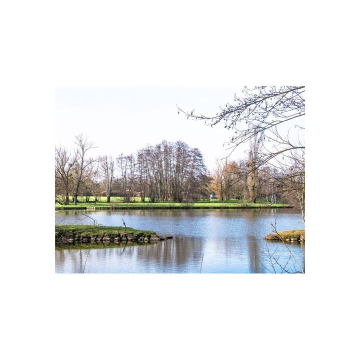 Camping Champ d'été