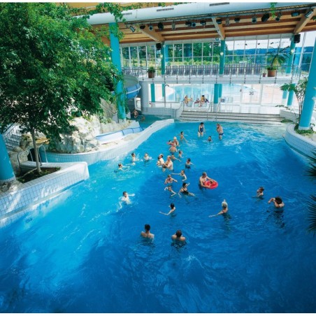 IFA Schöneck Hotel & Ferienpark