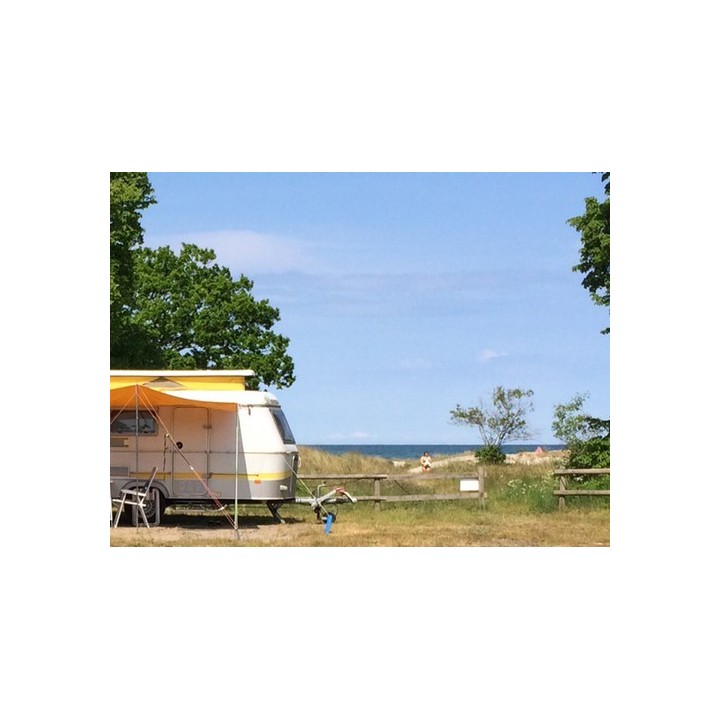 Møn Strandcamping - Ulvshale