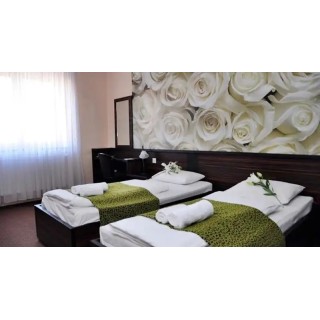 Green Hotel Budapest