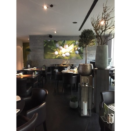 Axel Hotel Berlin