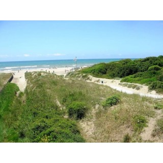 Camping Internazionale di Castelfusano