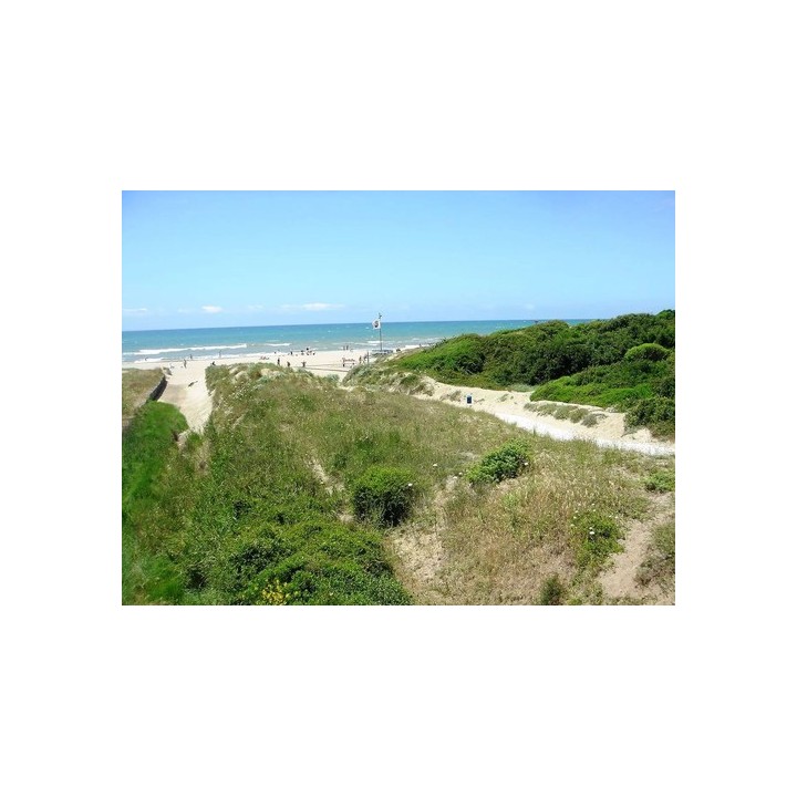 Camping Internazionale di Castelfusano