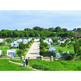 Taiga Puerto Santa Maria