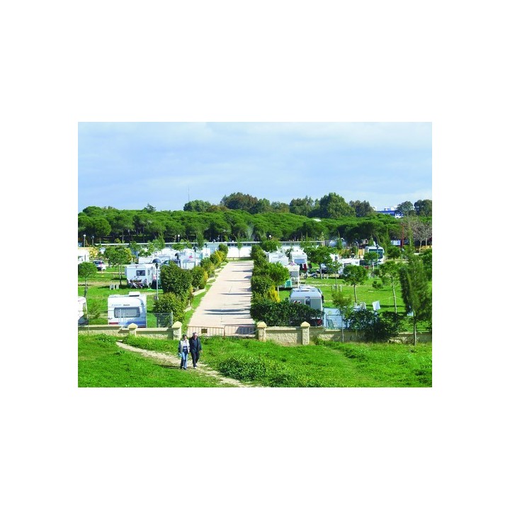 Taiga Puerto Santa Maria