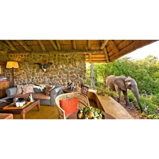 Motswari Private Game Reserve