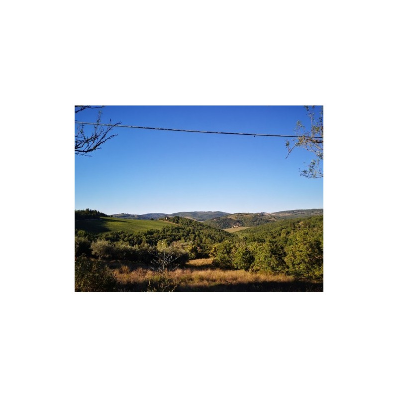 Agricamping L'Apicorno