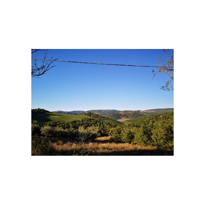 Agricamping L'Apicorno