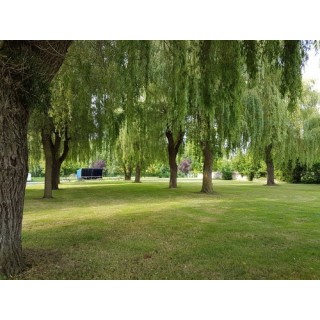 Camping de Cormery CARAVANE PALACE