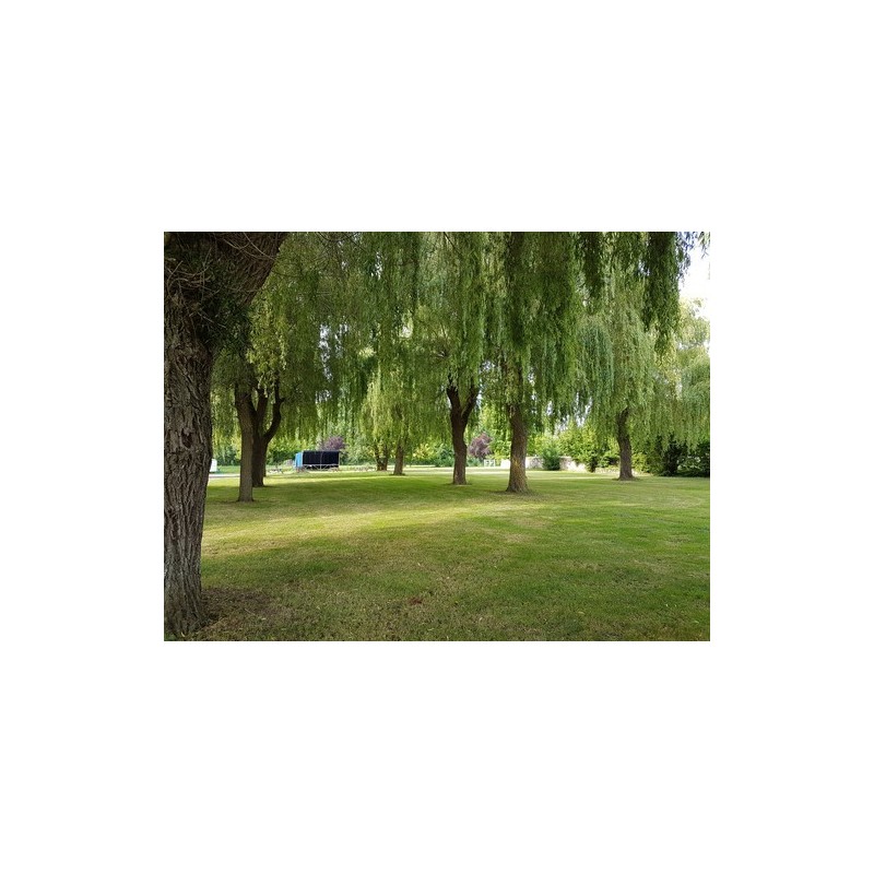 Camping de Cormery CARAVANE PALACE
