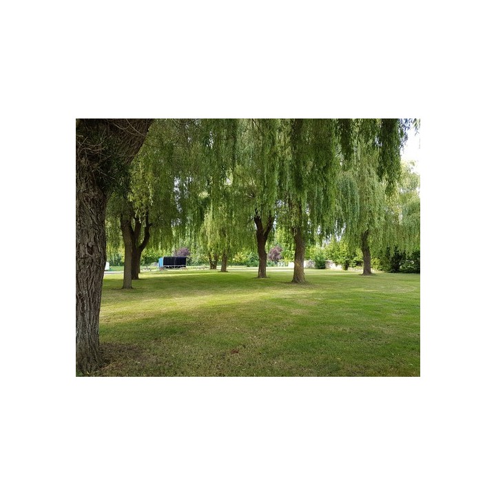 Camping de Cormery CARAVANE PALACE