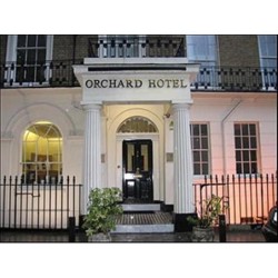 Orchard