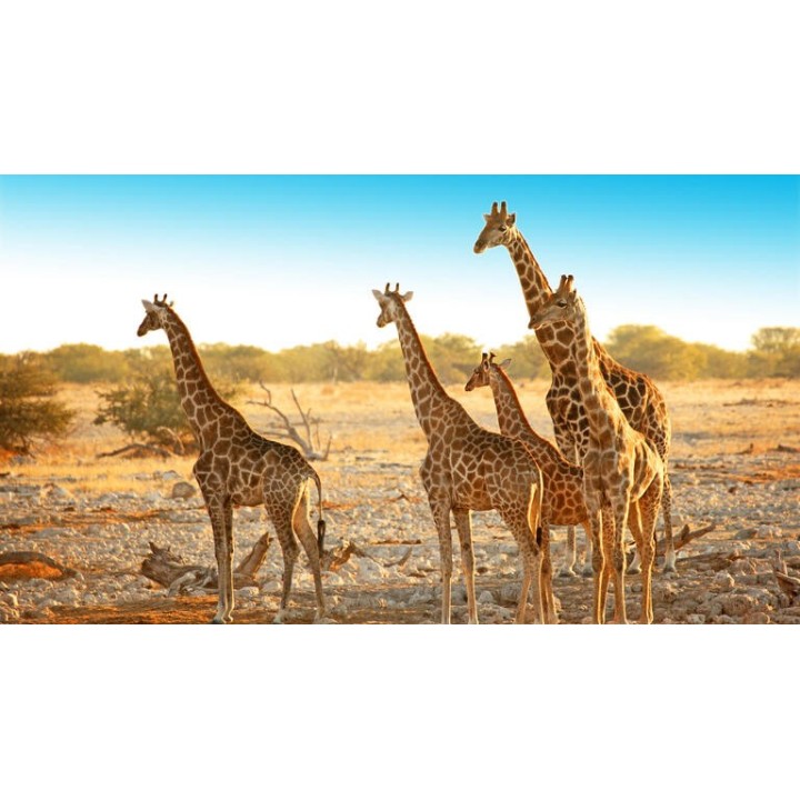 Rundreisen Namibia: Eine Reise voller Kontraste