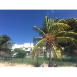 Casa Melissa