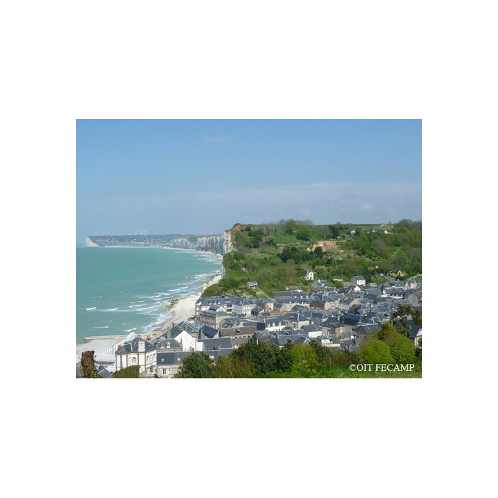 Flower Camping la Chenaie