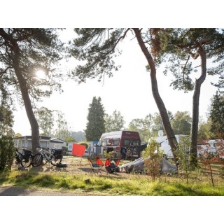 Camping Kikmolen