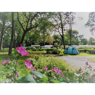 Camping écologique LE LAC O FEES