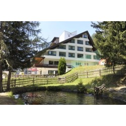 Kinder- & Familienhotel Nockalm