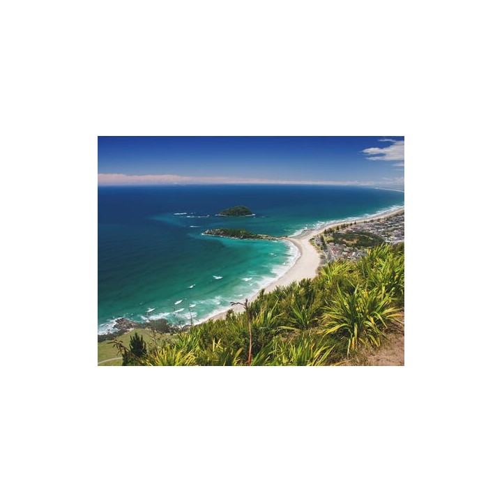 Kreuzfahrten Weltkreuzfahrt: mit MSC Magnifica von Genua bis Warnemünde