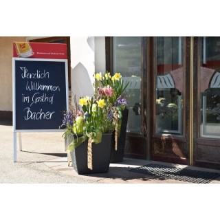 Gasthof Bacher