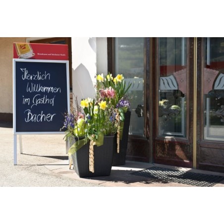 Gasthof Bacher