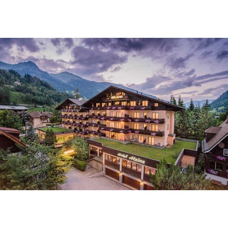 Hotel Alpina Gastein