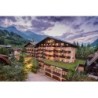 Hotel Alpina Gastein