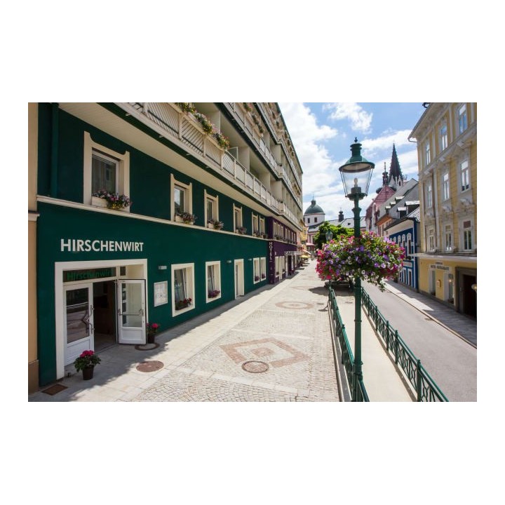 AKTIVHOTEL Weisser Hirsch